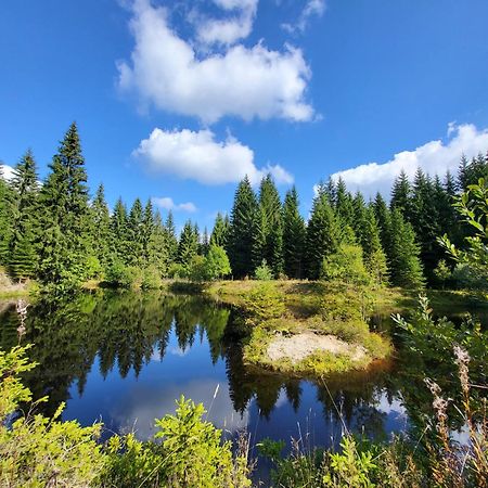 U Zlate Brizy Krusne Hory - Erzgebirge Apartment Horni Blatna Bagian luar foto