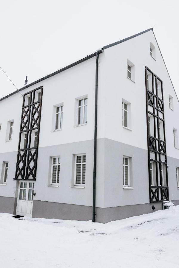 U Zlate Brizy Krusne Hory - Erzgebirge Apartment Horni Blatna Bagian luar foto