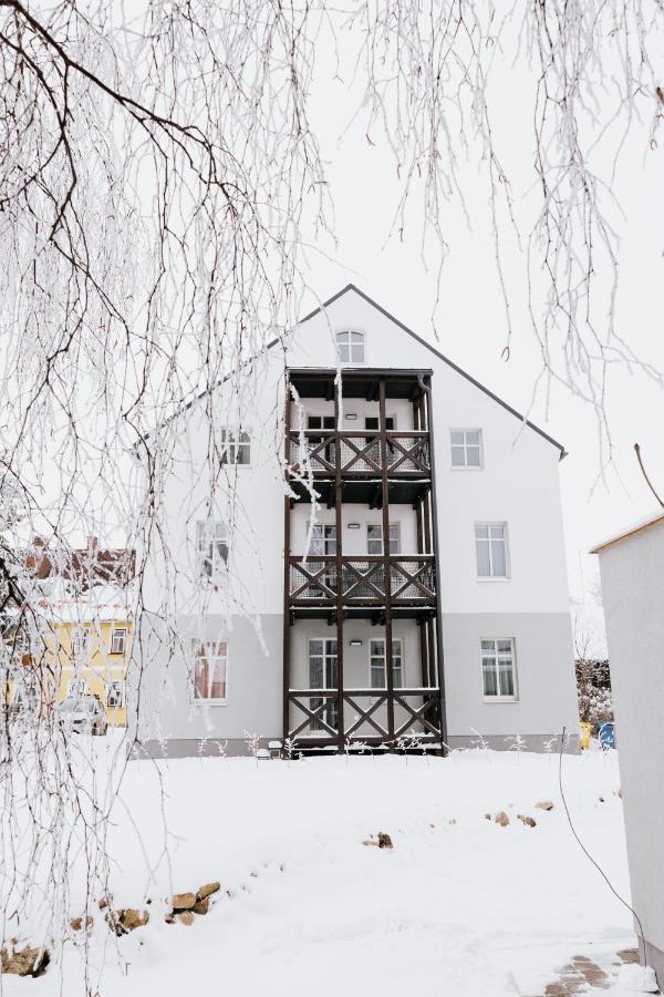 U Zlate Brizy Krusne Hory - Erzgebirge Apartment Horni Blatna Bagian luar foto