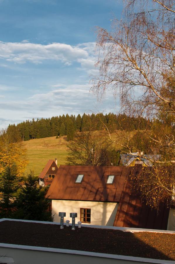 U Zlate Brizy Krusne Hory - Erzgebirge Apartment Horni Blatna Bagian luar foto