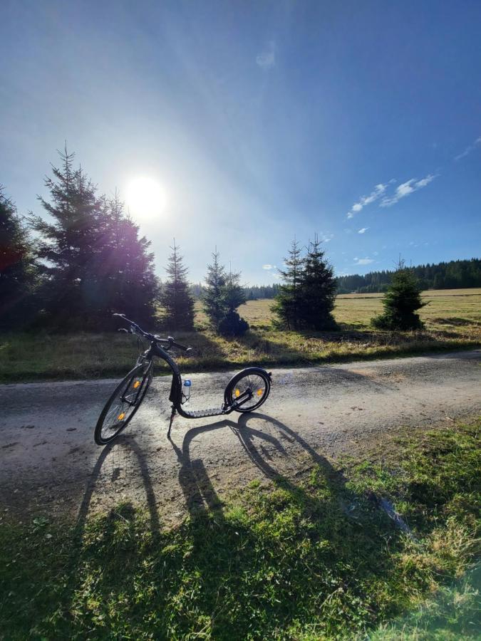U Zlate Brizy Krusne Hory - Erzgebirge Apartment Horni Blatna Bagian luar foto
