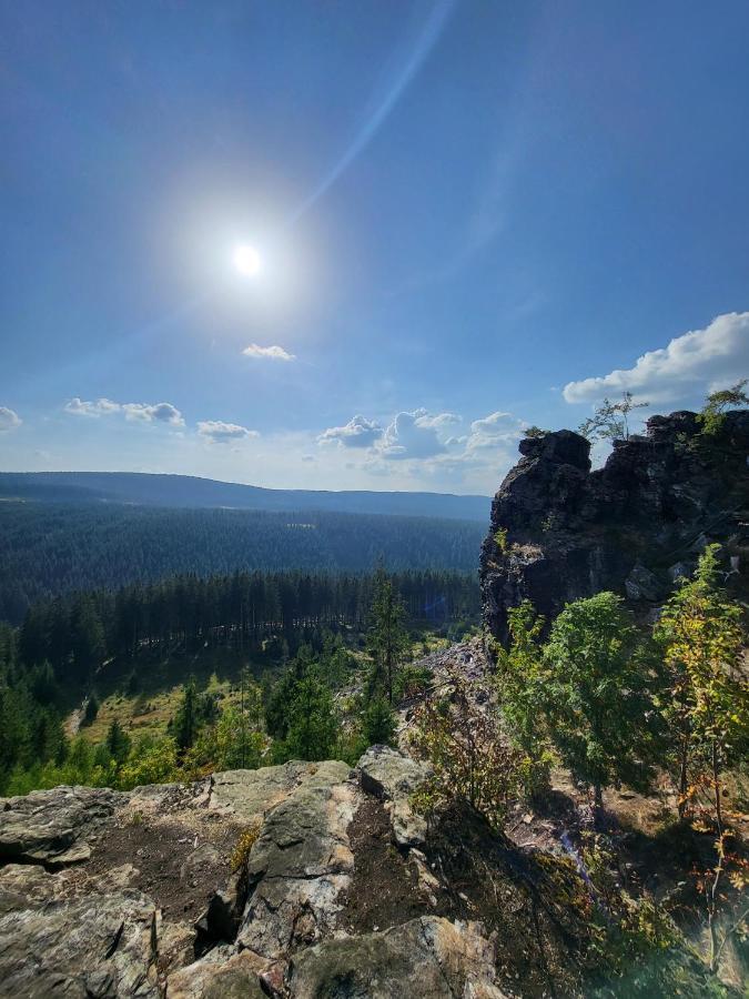 U Zlate Brizy Krusne Hory - Erzgebirge Apartment Horni Blatna Bagian luar foto
