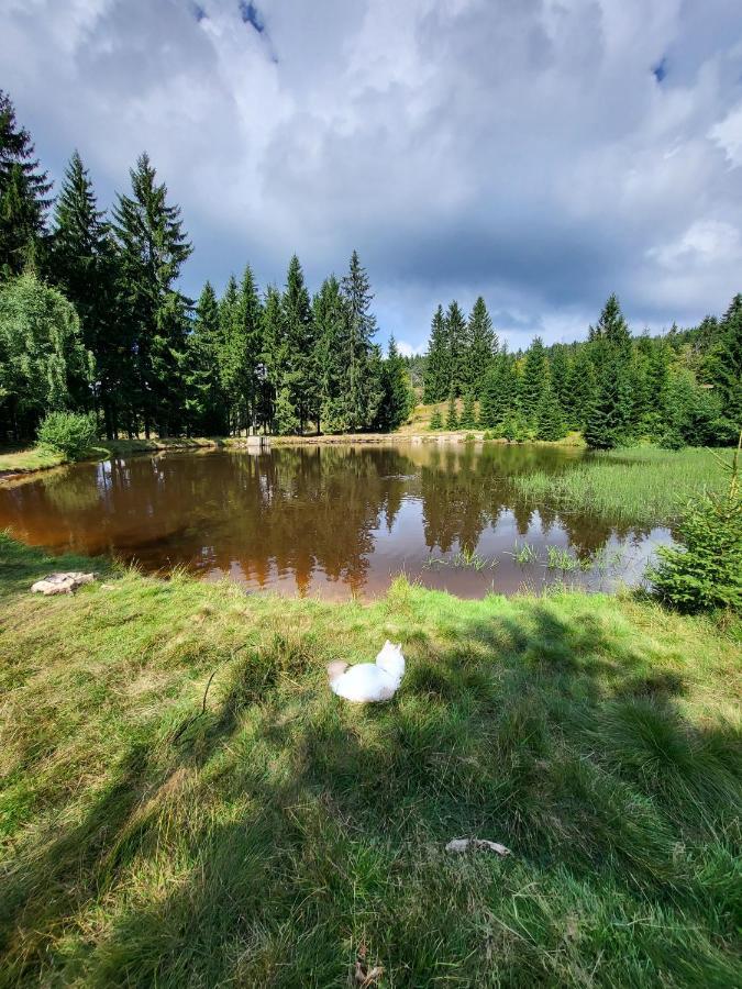 U Zlate Brizy Krusne Hory - Erzgebirge Apartment Horni Blatna Bagian luar foto